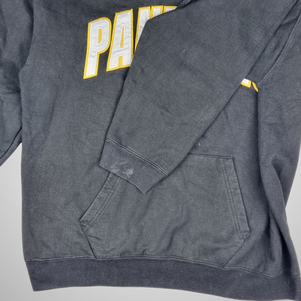 OVB Panthers Hoodie