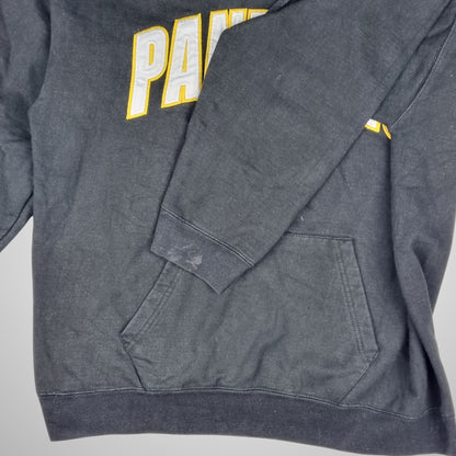OVB Panthers Hoodie