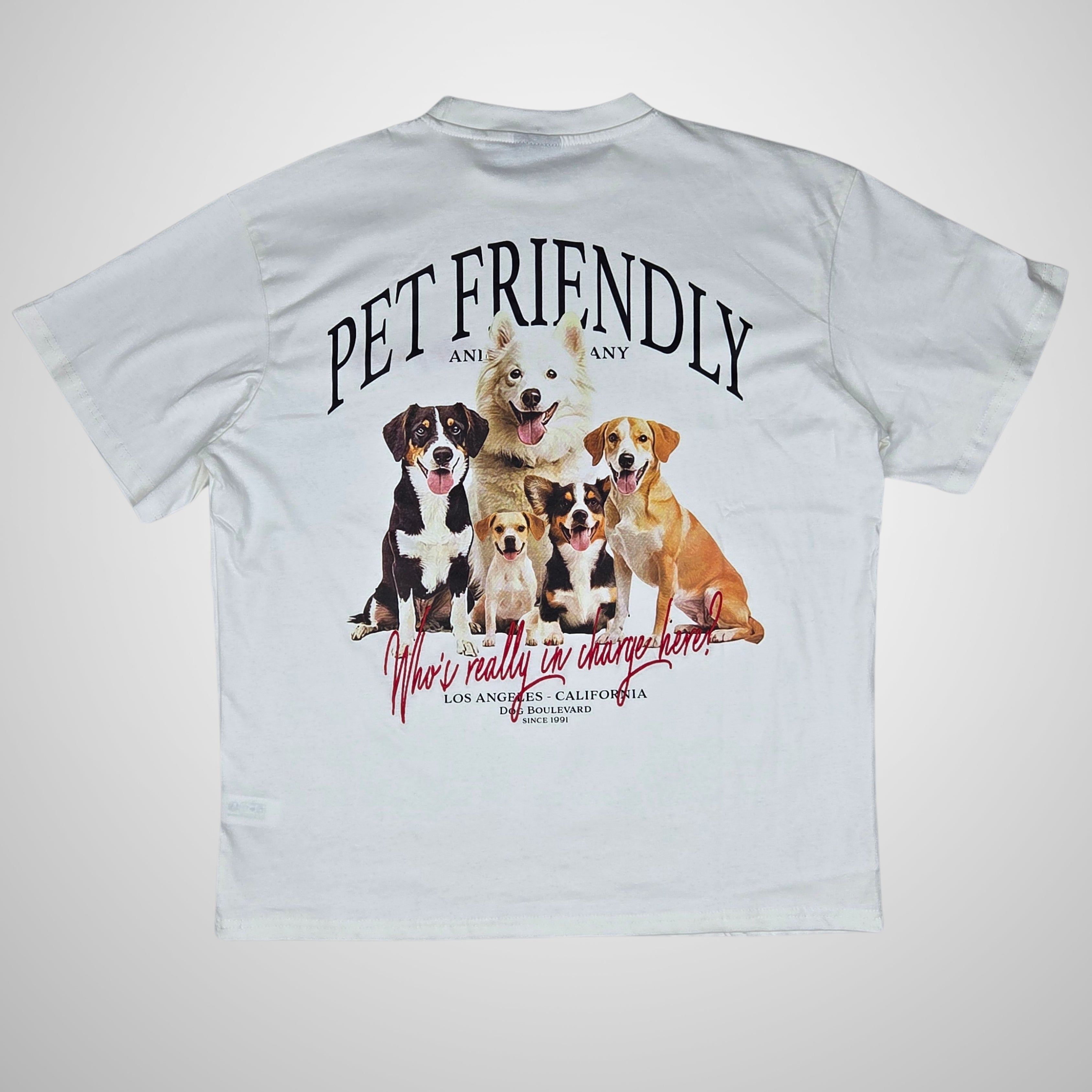 Pull & Bear Pet Friendly T-Shirt